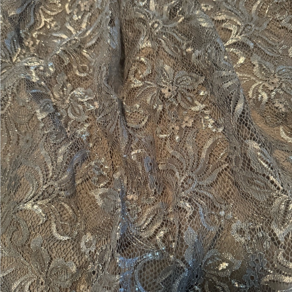 NWT Loft Bubble Hem Shimmer Lace Skirt, Silver, Size 8 - Picture 3 of 9